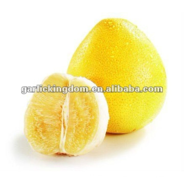 Honey Pomelo de Pinghe China (Citrus Fruit)